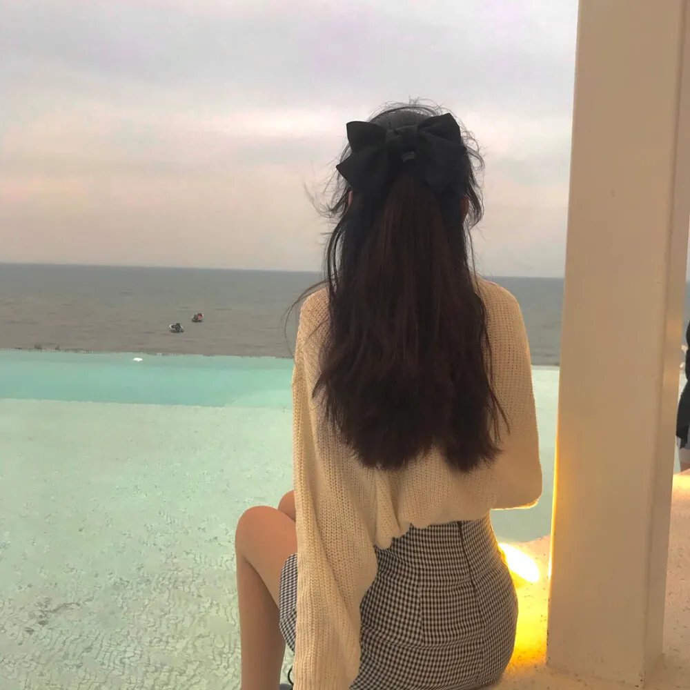 来自收容所的爱